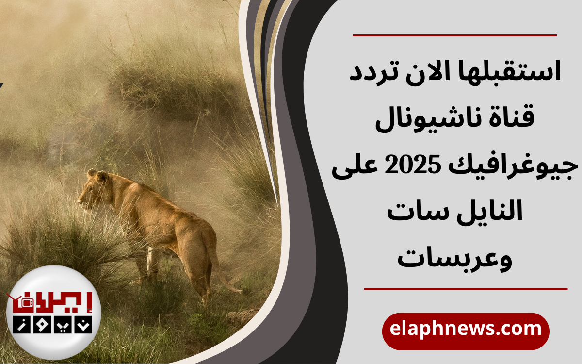 قناة ناشيونال جيوغرافيك