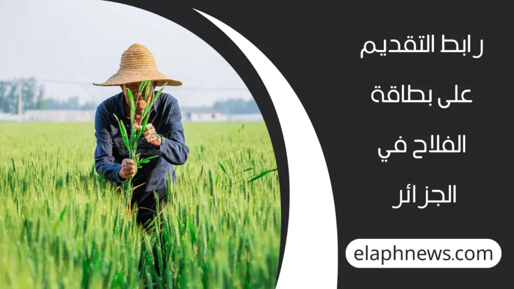 بطاقة-الفلاح-في-الجزائر-2025-2-1-1280x720-1-1024x576 رابط madr.gov.dz وزارة الفلاحة .. خطوات التقديم على بطاقة الفلاح في الجزائر 2025 والشروط المطلوبة