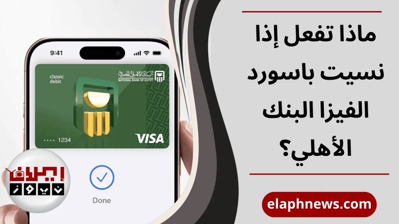 باسورد الفيزا البنك الأهلي