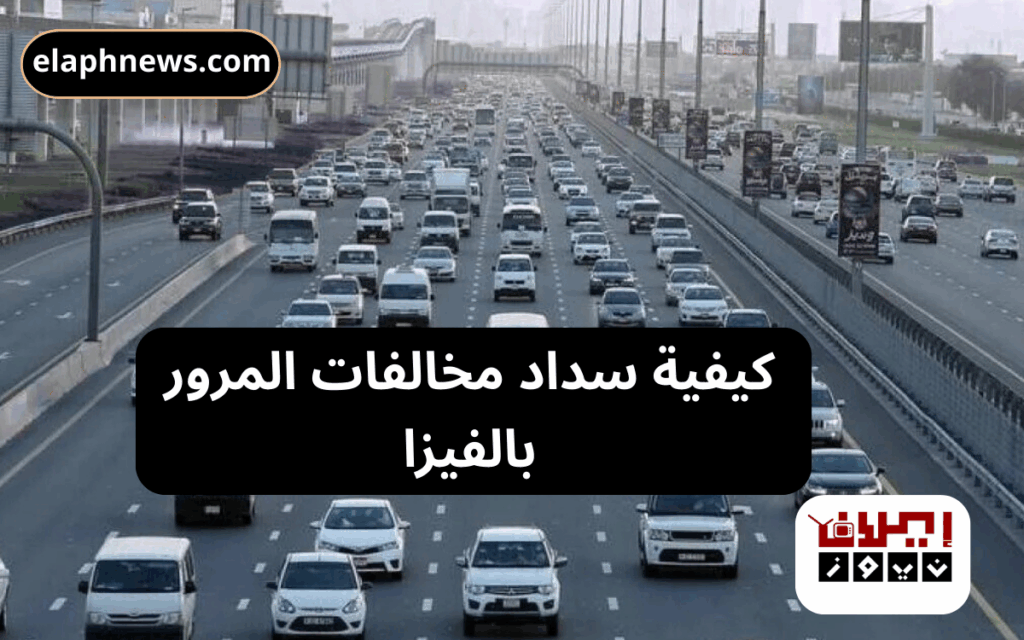 سداد مخالفات المرور بالفيزا