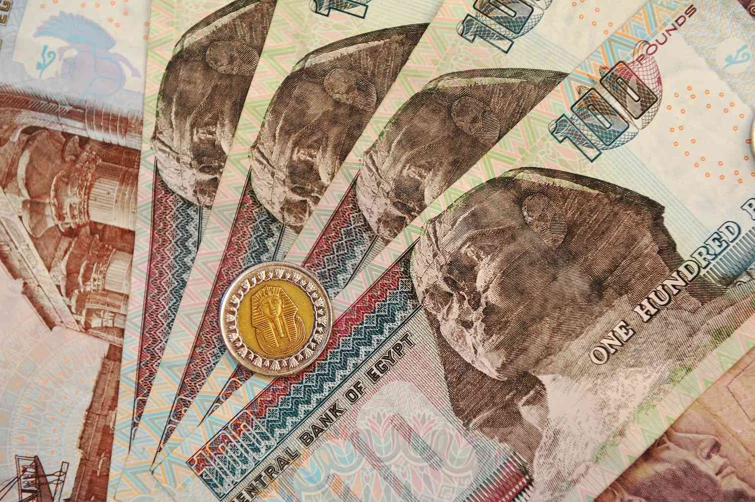 كيفية حساب المعاش للموظف الحكومي
