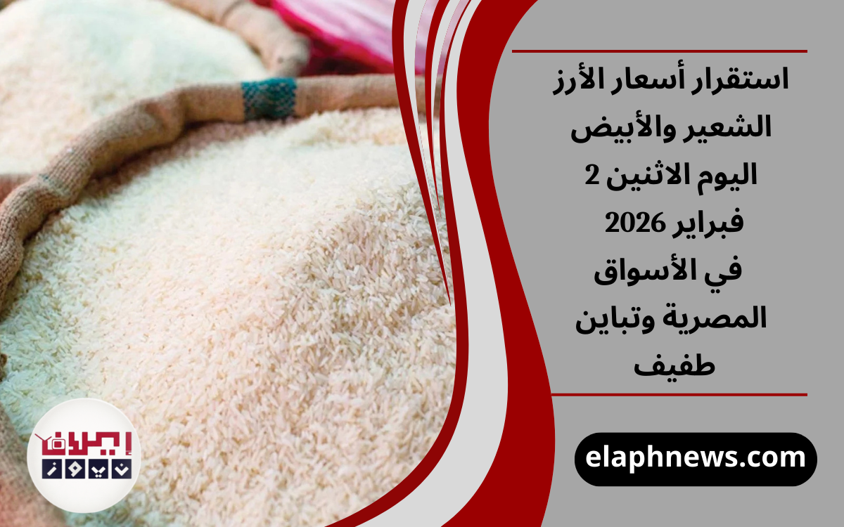 استقرار أسعار الأرز الشعير والأبيض اليوم الاثنين 2 فبراير 2026