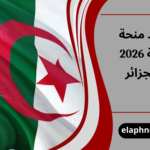 مواعيد منحة البطالة 2026 في الجزائر