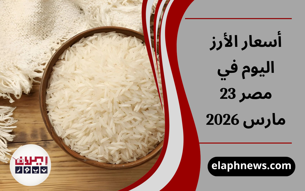 أسعار الأرز اليوم في مصر 23 مارس 2026