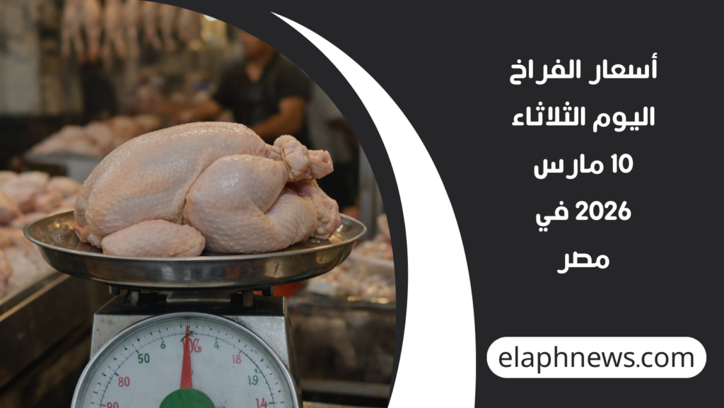 أسعار-الفراخ-اليوم-الثلاثاء-10-مارس-2026-في-مصر-1024x577 أسعار الفراخ اليوم الثلاثاء 10 مارس 2026 في مصر