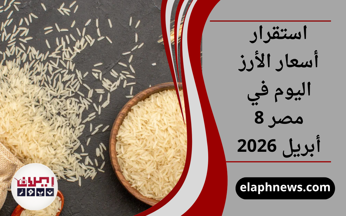 استقرار أسعار الأرز اليوم في مصر 8 أبريل 2026