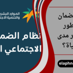 هل الضمان المطور مستمر مدى الحياة؟