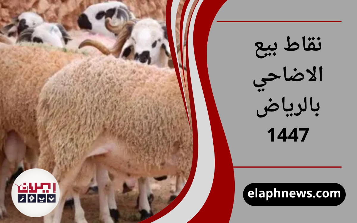 نقاط بيع الاضاحي بالرياض 1447